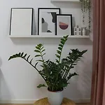 Daire Amalia - Quiet 1br With Parking & Wi-fi *
