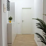 Amalia - Quiet 1br With Parking & Wi-fi