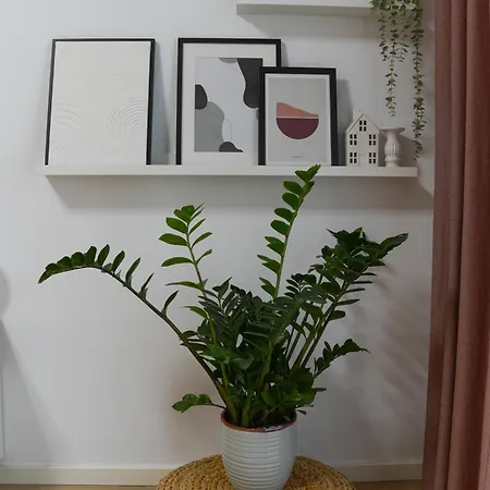 Amalia - Cozy & Quiet Near Veranda Mall & Obor Market Apartment Bucharest
