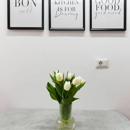 Amalia - Quiet 1br With Parking & Wi-fi Bükreş