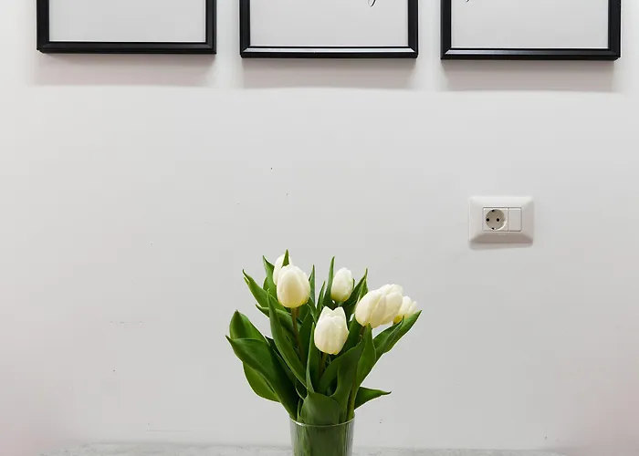 Amalia - Quiet 1br With Parking & Wi-fi Bukarest