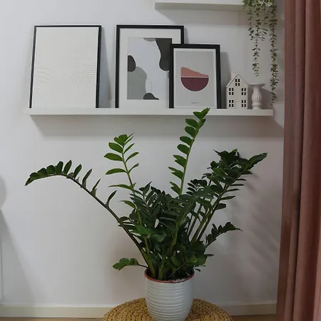 Апартаменты Amalia - Quiet 1br With Parking & Wi-fi *