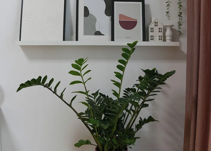 Lägenhet Amalia - Quiet 1br With Parking & Wi-fi *